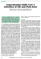 Experimental SARSCoV2 Infection of Elk and Mule Deer
