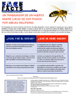 FACE Facts un Trabajador de un Huerto Muere Luego de Ser Picado Por Abejas Melferas