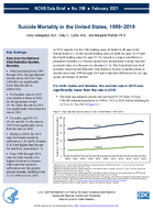 Suicide Mortality in the United States 19992019