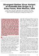Divergent Rabies Virus Variant of Probable Bat Origin in 2 Gray Foxes New Mexico USA