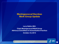 Meningococcal Vaccines Work Group update
