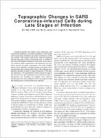 Topographic Changes in SARS Coronavirusinfected Cells at Late Stages of Infection