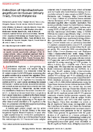 Detection of Mycobacterium angelicum in Human Urinary Tract French Polynesia