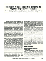 Norwalk Virusspecific Binding to Oyster Digestive Tissues