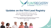 Updates on the Flint Lead Registry