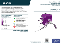 AK Congressional District 01 Stroke and Stroke Centers Map 119th Congress