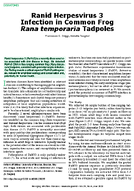 Ranid Herpesvirus 3 Infection in Common Frog Rana temporaria Tadpoles