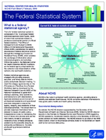 The federal statistical system February 2019