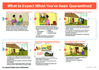 What to Expect When Youve Been Quarantined handout