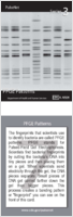 PFRG patterns