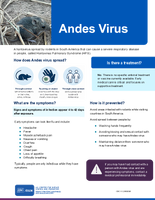 Andes Virus 20260506