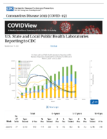 US State and Local Public Health Laboratories Reporting to CDC Updated June 19 2020