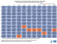 10 Leading Causes of Nonfatal Emergency Department Visits United States  2016 All Injuries Disposition All cases Both Sexes All Races All Ages