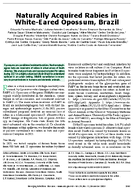 Naturally Acquired Rabies in WhiteEared Opossum Brazil