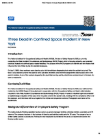 Three Dead in Confined Space Incident in New York FACE 8634