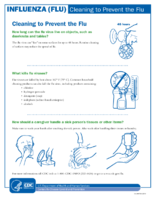 Influenza Flu Cleaning to Prevent the Flu