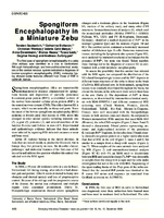 Spongiform Encephalopathy in a Miniature Zebu