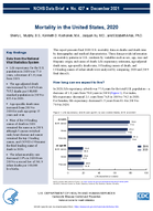 Mortality in the United States 2020