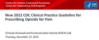 New 2022 CDC Clinical Practice Guideline for Prescribing Opioids for Pain