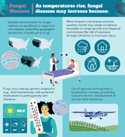 Fungal Diseases  As temperatures rise fungal diseases may increase