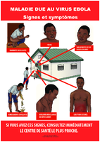 Maladie due au virus ebola signes et symptmes