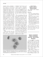 Newly Isolated Vibrio cholerae NonO1 NonO139 Phages