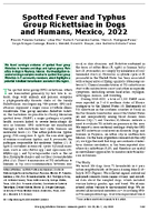 Spotted Fever and Typhus Group Rickettsiae in Dogs and Humans Mexico 2022