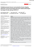 Multidimensional Stressors and Protective Factors Shaping Physicians Work Environments and WorkRelated WellBeing in Two Large US Cities During COVID19