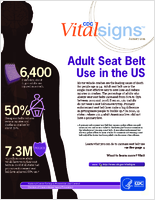 Adult Seat Belt Use in the US