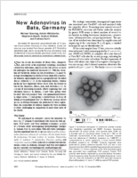 New Adenovirus in Bats Germany