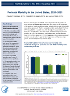 Perinatal Mortality in the United States 20202021