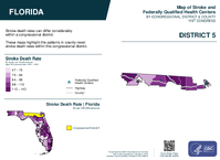 FL Congressional District 05 Stroke and Federally Qualified Health Centers Map 119th Congress