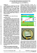 Avalanche Photoionization Detector
