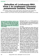 Detection of Leishmania RNA Virus 1 in Leishmania Viannia panamensis Isolates Panama
