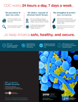 2018 CDC Saving Lives Protecting People Keeping American Safe Healthy  Secure