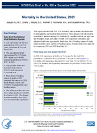 Mortality in the United States 2021
