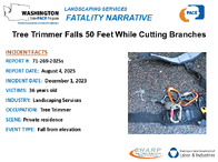 Landscaping Services Fatality Narrative Tree Trimmer Falls 50 Feet While Cutting Branches Washington Report 712692025