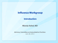 Influenza workgroup  introduction