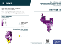 IL Congressional District 12 Stroke and Federally Qualified Health Centers Map 119th Congress