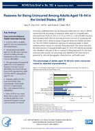 Reasons for Being Uninsured Among Adults Aged 1864 in the United States 2019