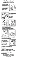 The Prevention of Hantavirus Disease