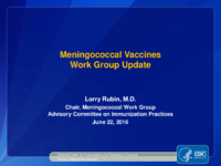 Meningococcal Vaccines Work Group update