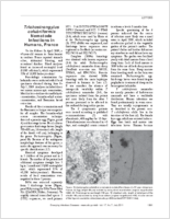 Trichostrongylus colubriformis Nematode Infections in Humans France