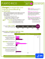 CDC National Survey Maternity Practices in Infant Nutrition and Care mPINC Puerto Rico 2015 Report