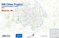 500 Cities Project Local Data for Better Health 2016 Muncie IN