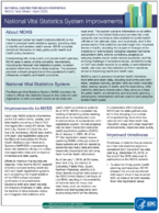 National Vital Statistics System improvements April 2020
