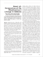 Novel 2Herpesvirus of the Rhadinovirus 2 Lineage in Gibbons