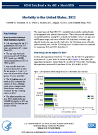 Mortality in the United States 2022