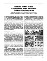 Nature of the Virus Associated with Endemic Balkan Nephropathy