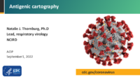 Antigenic cartography